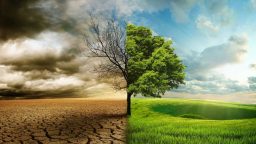 Psicología y crisis ecológica